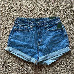 Wild Fable Blue Jean Shorts
